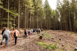 Historische Erlebnis-Wanderung Bad König