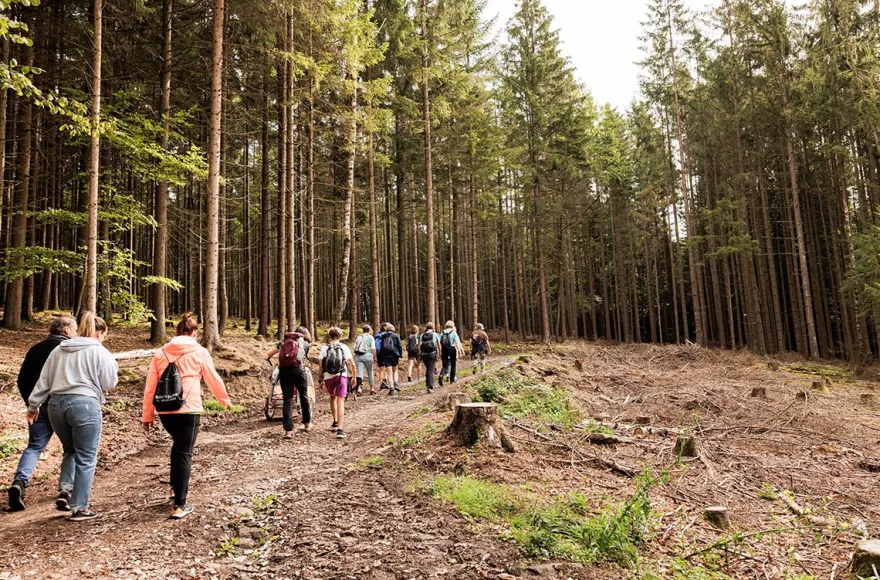 Historische Erlebnis-Wanderung Bad König