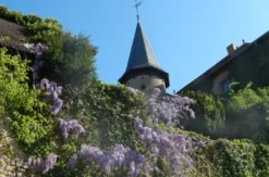 Historisches Bier brauen in Schlüchtern-Elm