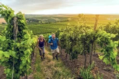 Hiwweltouren Wanderurlaub für 2 (1 Nacht)