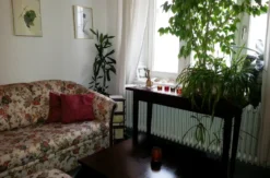 Honigmassage Gessertshausen