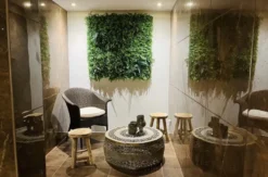 Hot Stone Massage Augsburg (Nature-Glow)