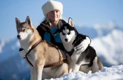 Husky Erlebnistag