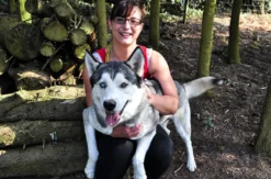 Husky Knuddelzeit in Goch