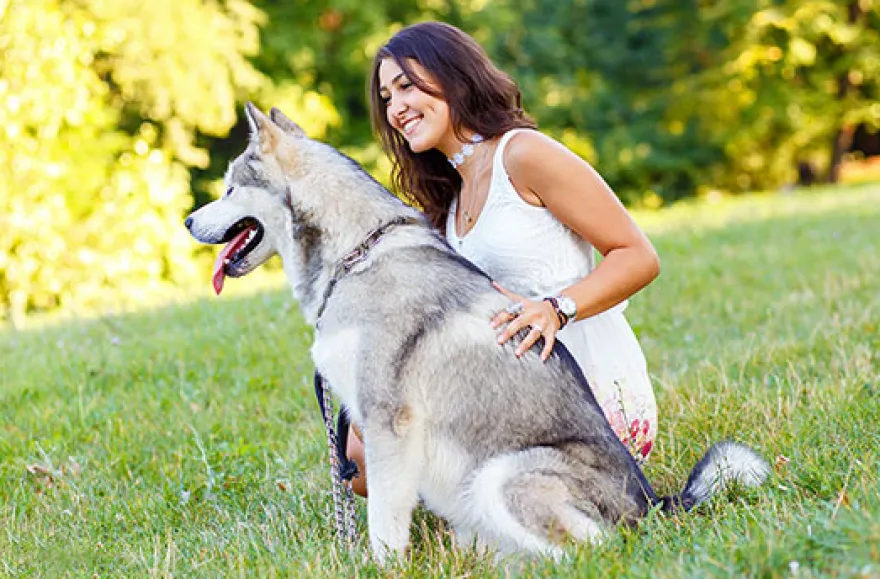 Husky Knuddelzeit in Goch