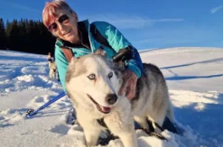Husky Schneeschuhtrekking für 2
