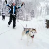 Husky Schneeschuhtrekking Hohentauern für 2