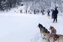 Husky Schneeschuhtrekking Hohentauern für 2