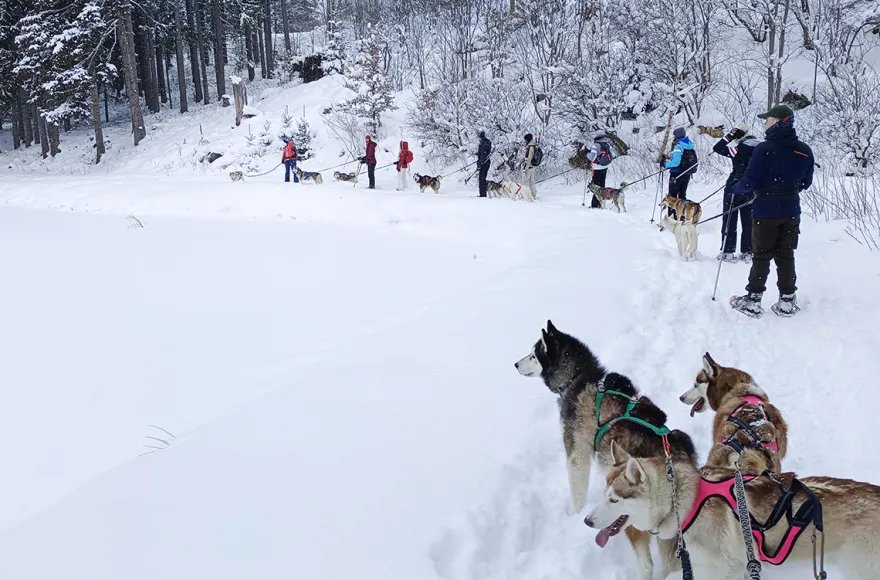 Husky Schneeschuhtrekking Hohentauern für 2