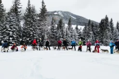 Husky Schneeschuhtrekking Hohentauern für 2