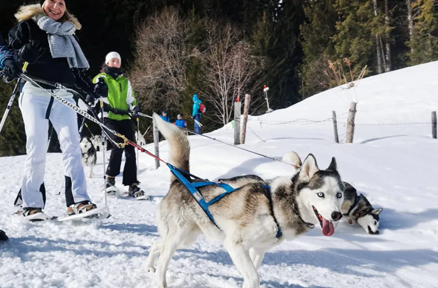 Husky Schneeschuhtrekking Hohentauern für 2