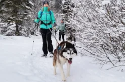 Husky Schneeschuhtrekking Hohentauern für 2