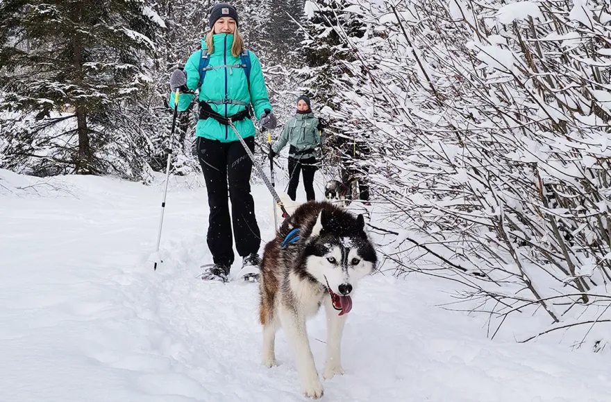 Husky Schneeschuhtrekking Hohentauern für 2
