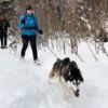 Husky Schneeschuhtrekking Postalm für 2