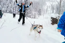 Husky Schneeschuhtrekking Postalm für 2