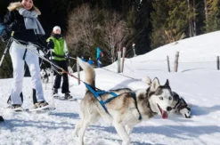 Husky Schneeschuhtrekking Postalm für 2