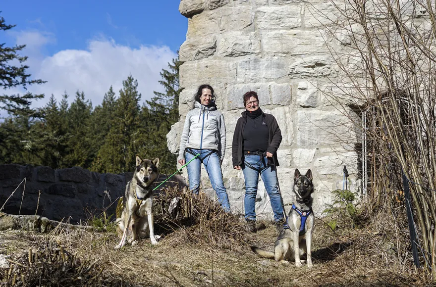 Husky Tagesausflug Bettmaringen