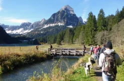 Husky-Trekking am Walensee