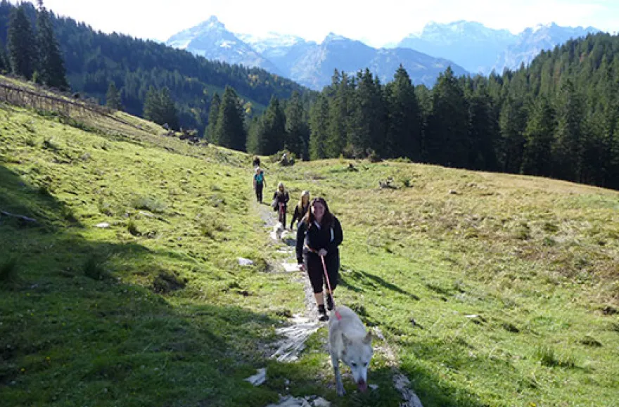 Husky-Trekking am Walensee