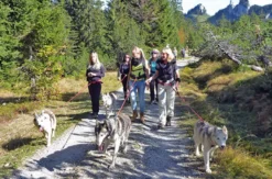 Husky-Trekking am Walensee