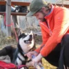 Husky-Trekking Bad Herrenalb