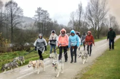 Husky Trekking Dietfurt a.d. Altmühl