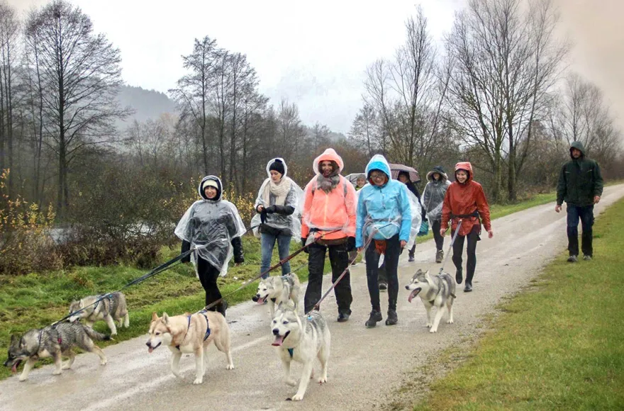 Husky Trekking Dietfurt a.d. Altmühl