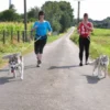 Husky Trekking Goch