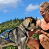 Husky-Trekking im Schwarzwald
