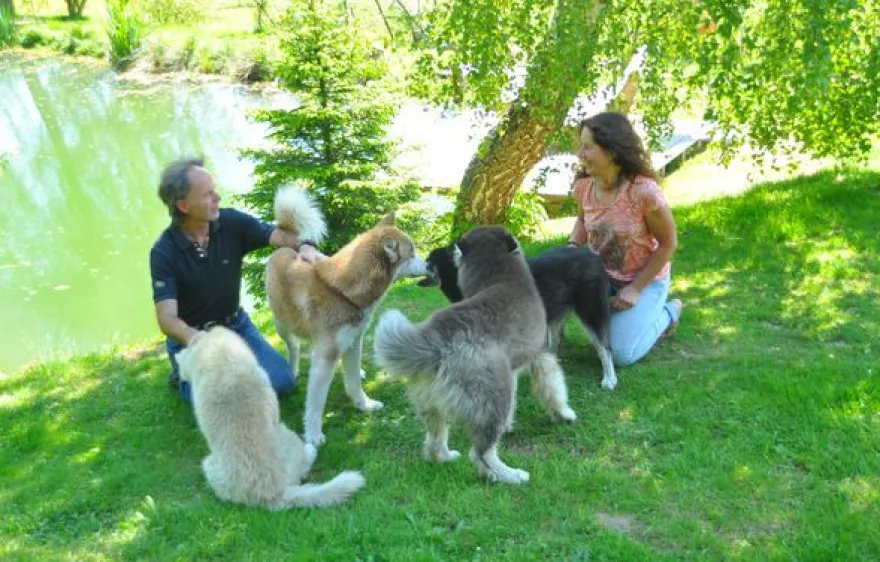 Husky Trekking Kollnburg
