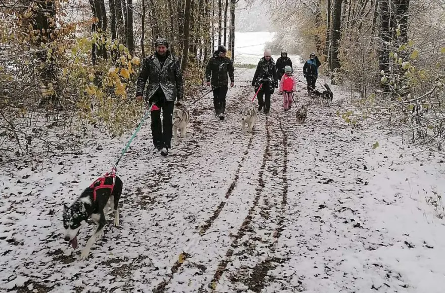Husky Trekking Neumarkt in der Oberpfalz