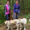 Husky Trekking Thanstein
