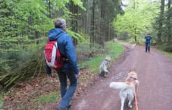 Husky Trekking Thanstein