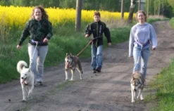 Husky Trekking Werder