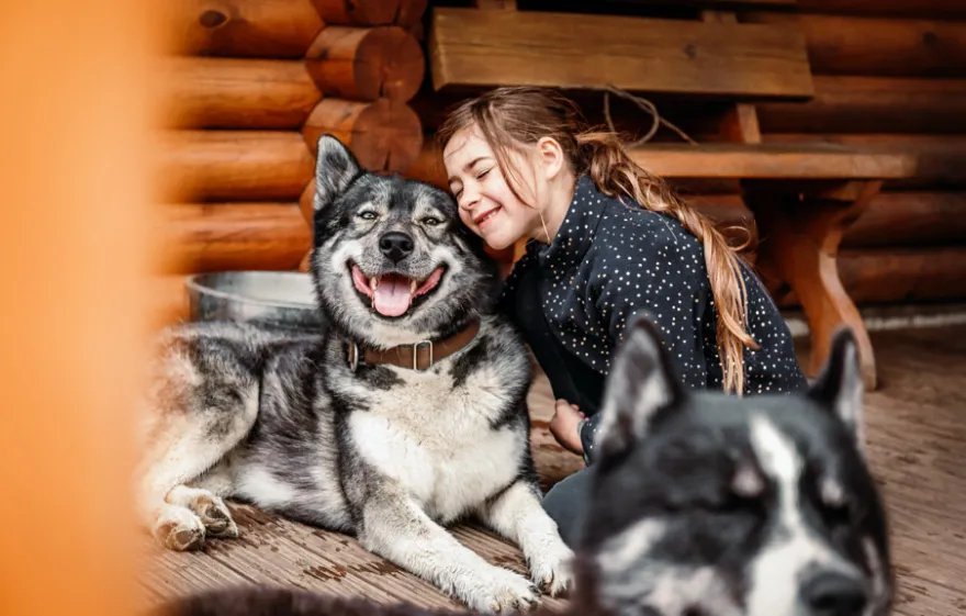 Husky Wanderung Fürstenberg / Havel