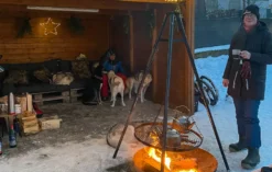 Husky Workshop Neumarkt i.d.OPf.