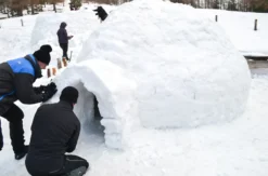 Iglu-Workshop Spital