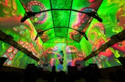 Immersive Show Heidelberg (Pixel Zoo)