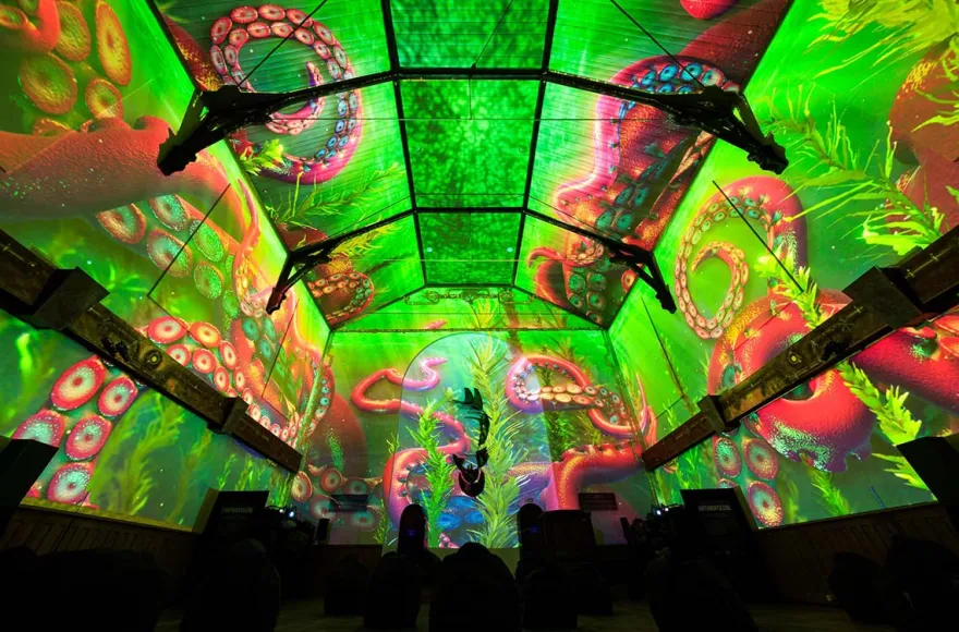 Immersive Show Heidelberg (Pixel Zoo)