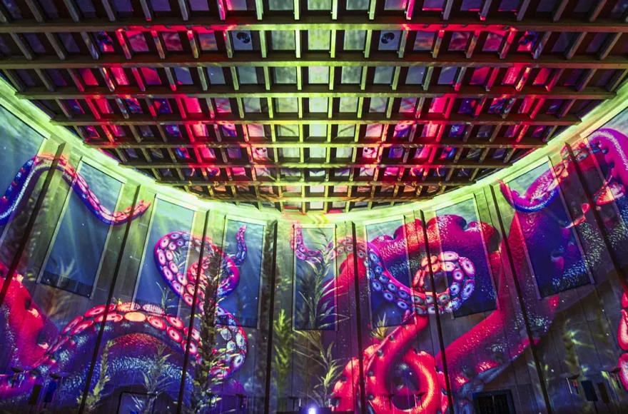Immersive Show Heidelberg (Pixel Zoo)