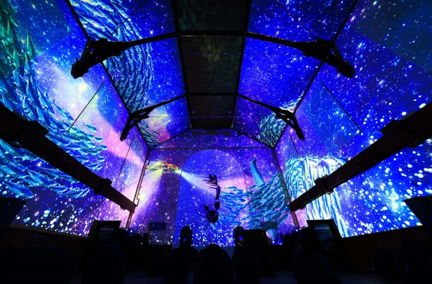Immersive Show Heidelberg (Pixel Zoo)