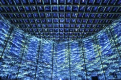 Immersive Show Heidelberg (Pixel Zoo)