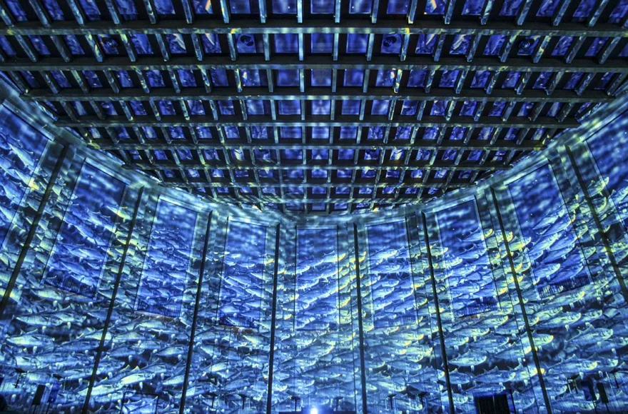 Immersive Show Heidelberg (Pixel Zoo)
