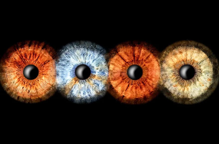 Irisfotografie Familie Haßfurt