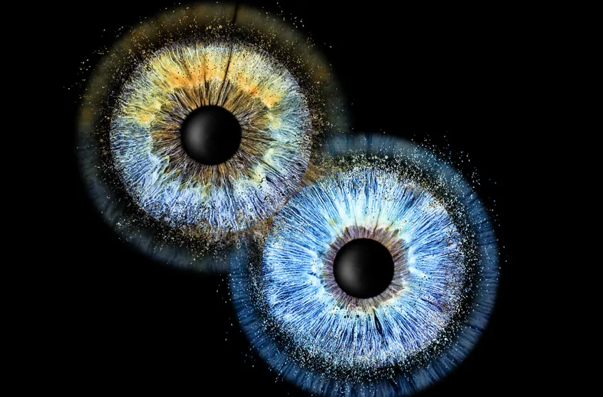 Iris Fotografie Fusion für 2 Haßfurt
