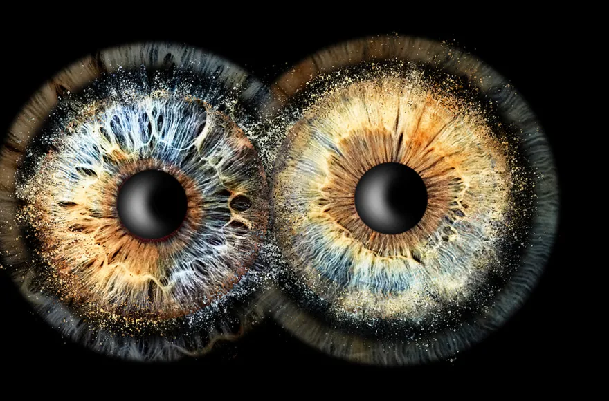 Iris Fotografie Fusion für 2 Haßfurt