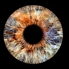 Iris Fotografie Haßfurt