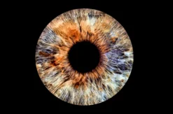 Iris Fotografie Haßfurt