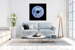 Iris Fotografie Haßfurt