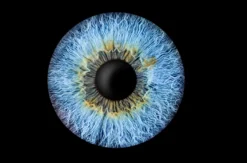 Iris Fotografie Haßfurt
